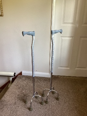 Tetrapod Walking Sticks