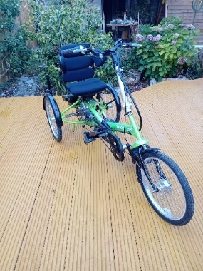Tomcat bullet electric etrike 