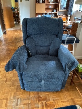 Fenetic Riser Recliner Chair