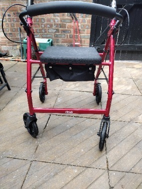 Mobility walker