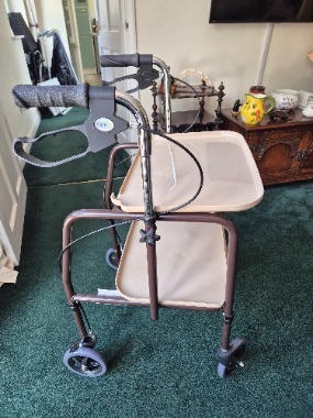 Walking trolley 