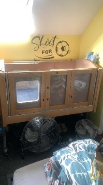 Electric lectric cot with diors