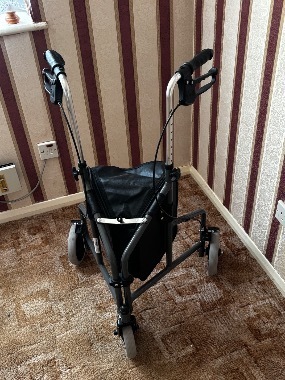 Urathon Three Wheeled Walker