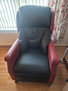 Dual motor riser recliner chair