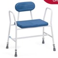 Perching stool with back and arms