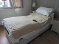 Adjustable single bed