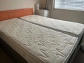 Twin adjustable electric beds