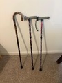 Walking sticks
