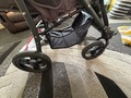 Tomato eio buggy