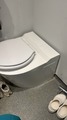 Bariatic Toilet image