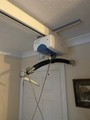 ceiling mounted hoist