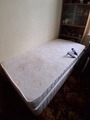 Single Adjustable Bed