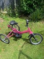 Tomcat specialist trike